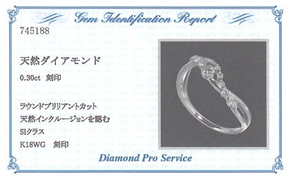 K18WG・ダイヤモンド0.3ct（SIクラス・鑑別書カード付）　アニバーサリー10リング